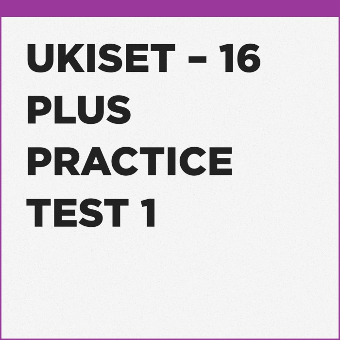 Basic plus practice test 2022