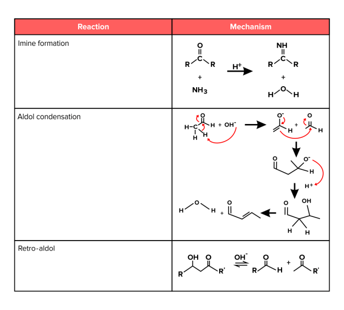 Organic chemistry reactions for mcat