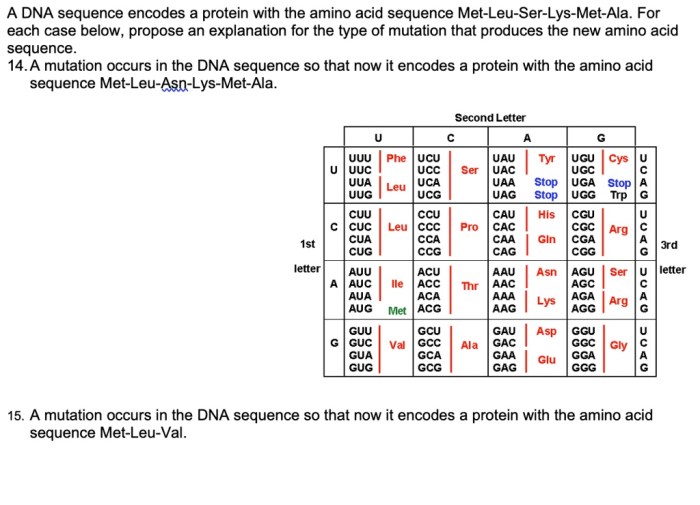 Rank the following peptides from most to least hydrophobic