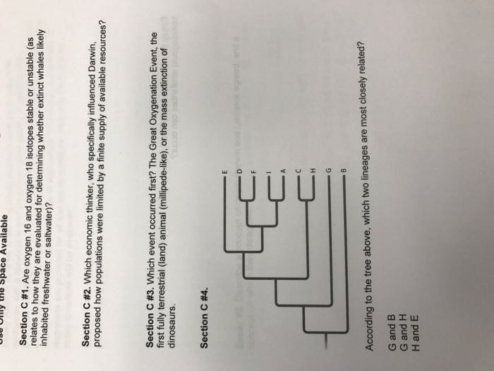 Which human activity would most likely deplete finite resources